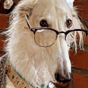 mspaintcreature avatar