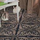 msshadowqueen avatar