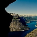 msturnerdaily avatar