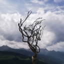 msuolpohpikaa avatar