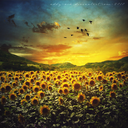 mtjester-creative avatar