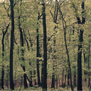 mtoddphotography avatar