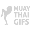 muaythaigifs avatar