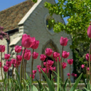 mucampusministry avatar