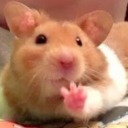 muchacho-tonto avatar