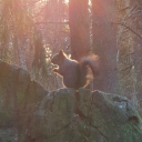 muchanonsense avatar