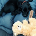 muchlove-judge avatar