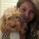 muchos-fandoms avatar