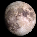 mugs-of-coffee avatar