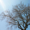 muhendisemalumatfurus avatar