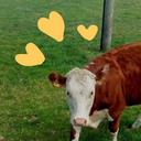 mujerterrible avatar