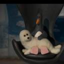 mullugutherum avatar