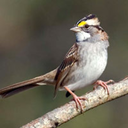 multicolouredbeanbag avatar