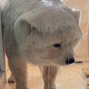 multidimensional-n30n avatar