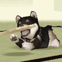 multidimensionalchaosworld avatar