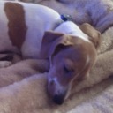 multifandomgirl-2001 avatar