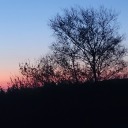 multifandommoron5454 avatar