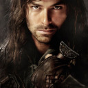 multifandomstruggle avatar