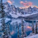 multimusecatastrophy avatar