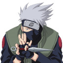 multishipperfanatic avatar