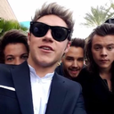 multishippinfool avatar