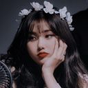 multistan-dani avatar