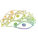 multiversal-andra avatar