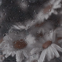 mumbledmanuscripts avatar