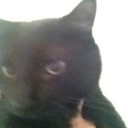 mumblemumbley avatar