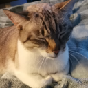 mundane-bloodsucker avatar