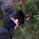 mundaneaffairs avatar