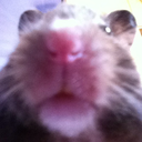 mundo--no--world avatar