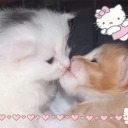 mundo-de-tu-mundo avatar