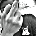 mundoadestruir-blog avatar