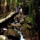 munirastudies avatar