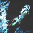 munittelr avatar
