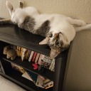 murder-by-de-fault avatar