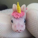 murder-temptation avatar