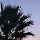 murderedmermaid avatar