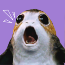 murderofpxrgs avatar