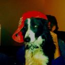 murdocpisscomp avatar