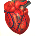 murmurfromtheruins-blog avatar