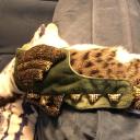 murphysscribe avatar