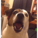 murrrrry-blog avatar