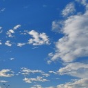 murtacalafate avatar