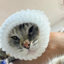 musa-infinita avatar