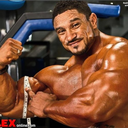 muscle-mountains avatar