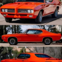 musclecarsandbabes avatar