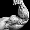 muscledsupremacy avatar