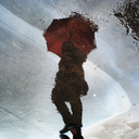 muse-of-mirrors avatar